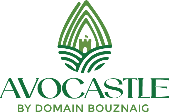 Avocastle
