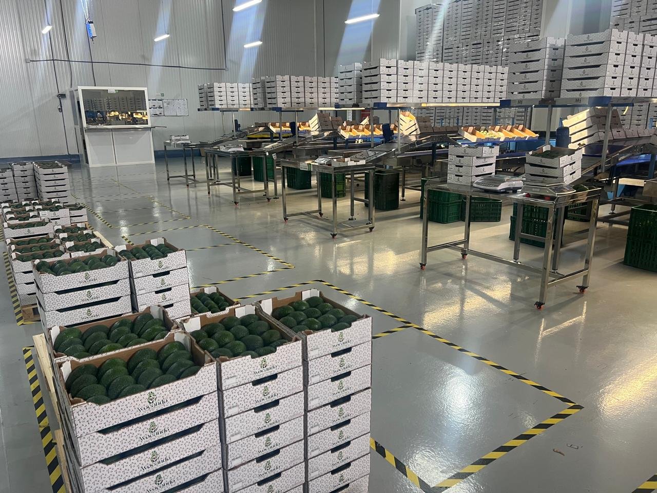 Moroccan Pure Harvest