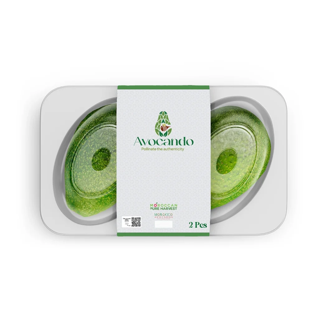 Fresh avocado Morocco - Morrocan Pure Harvest - MPH - 2025