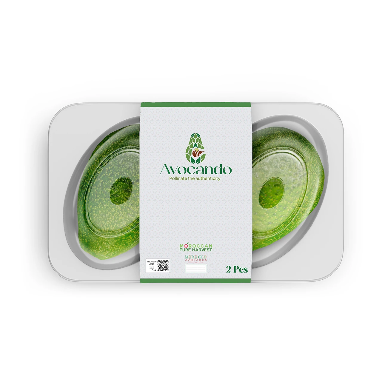 Fresh avocado Morocco - Morrocan Pure Harvest - MPH - 2025