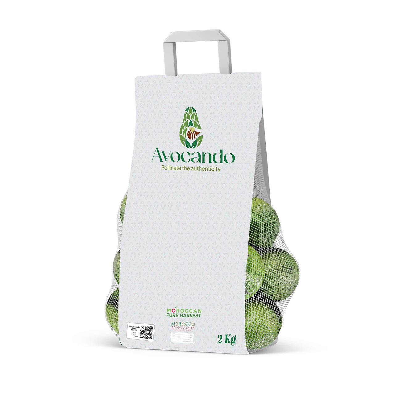 Fresh avocado Morocco - Morrocan Pure Harvest - MPH - 2025